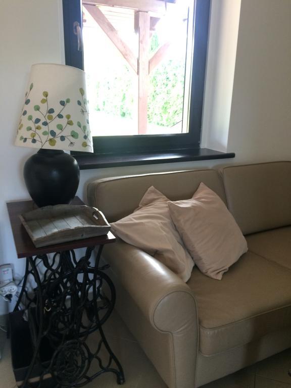 Dom Relaks & Wypoczynek Villa Skoki ภายนอก รูปภาพ